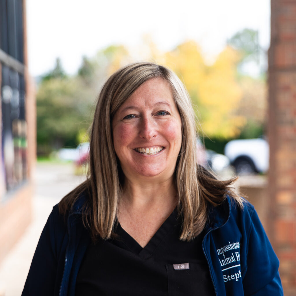<strong>Stephanie</strong>
Client Care Rep.
<span style="font-size: 14px;">She/Her/Hers</span>
<span style="color: #ef476f;"><strong><em><span style="font-size: 14px;">with CCAH since 2016</span></em></strong></span>